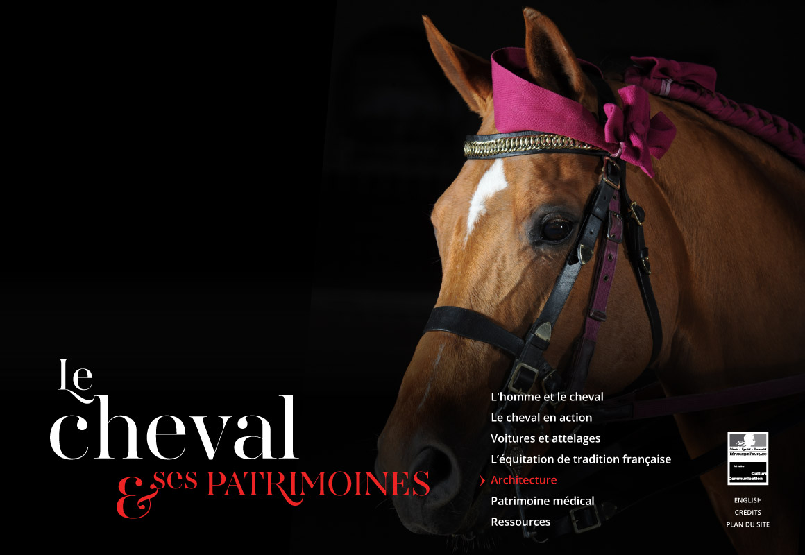 cheval_1